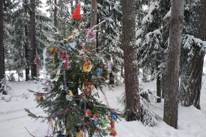 Двое уральцев с топором и ракетницей напали на продавца ёлок