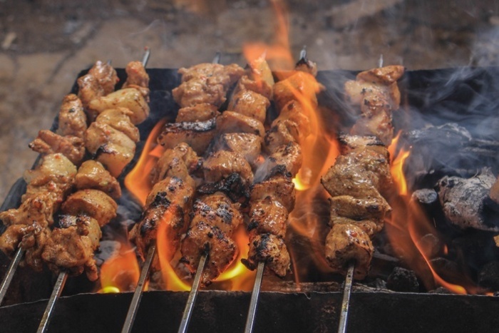 Екатеринбуржцам запретили разводить костры и жарить шашлыки