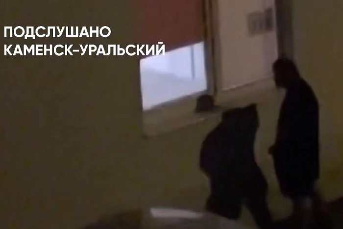 Мастурбирующего на роддом мужчину задержали в Каменске-Уральском