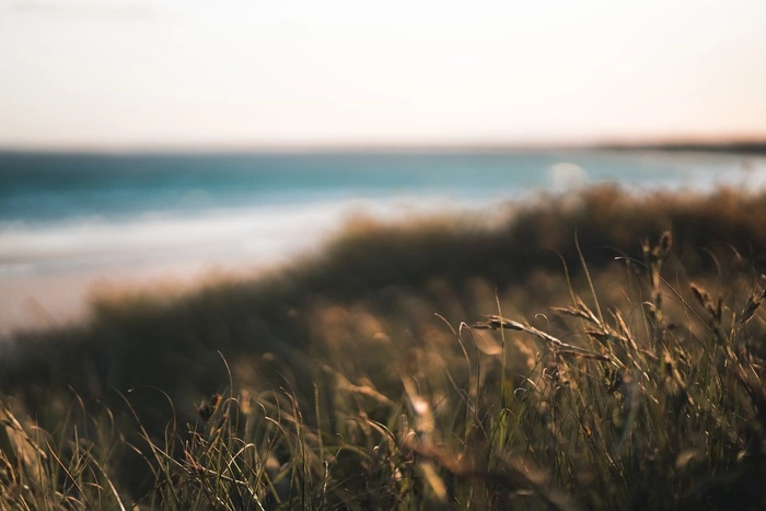 На Чукотке охотник выложил «сердечко» из убитых гусей