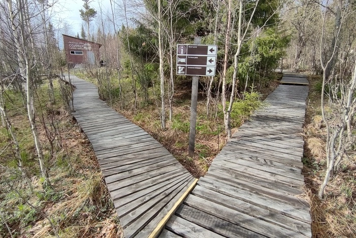 Новый туристический маршрут для пешеходов и велосипедистов появится в Висимском заповеднике