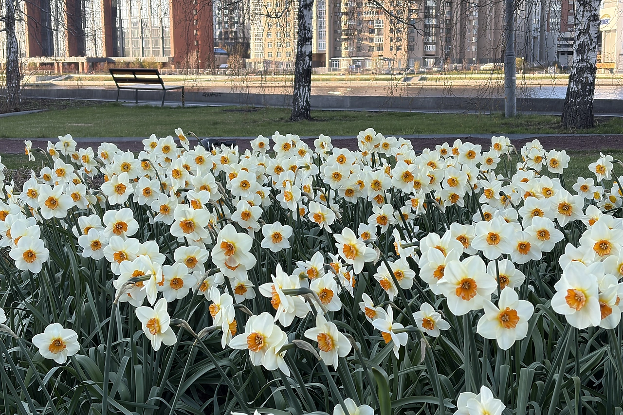 В России предложили сделать майские праздники непрерывными до 9 мая