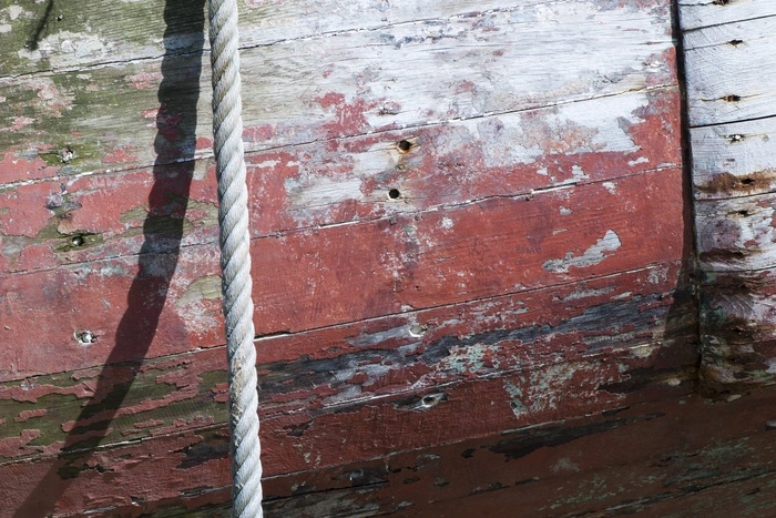 Сексологи предложили Минобрнауки запретить школьницам лазать по канату