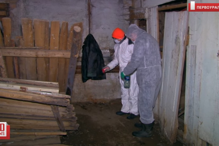 В подвале многоэтажки найдена мумия — люди несколько недель дышали трупным ядом