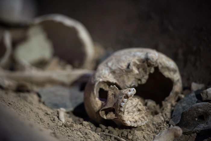 В Екатеринбурге пёс нашел череп пропавшего в феврале человека