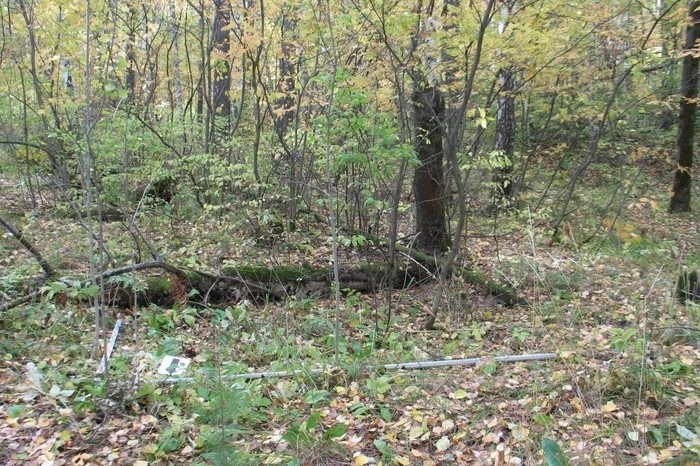 Поисковый отряд музея истории Екатеринбурга нашёл зоны захоронений жертв политических репрессий