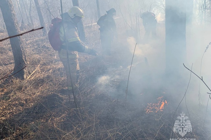 Единую дату начала пожароопасного сезона установили власти Свердловской области