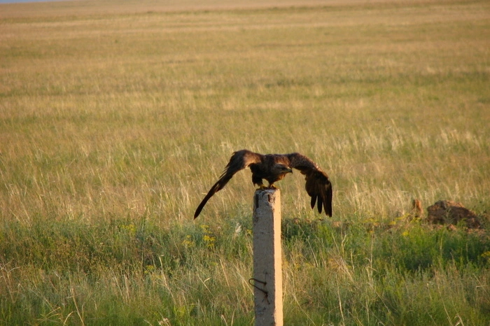 В МВД Казахстана назвали возгорание автобуса несчастным случаем