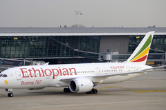 Угонщик самолета Ethiopian Airlines задержан
