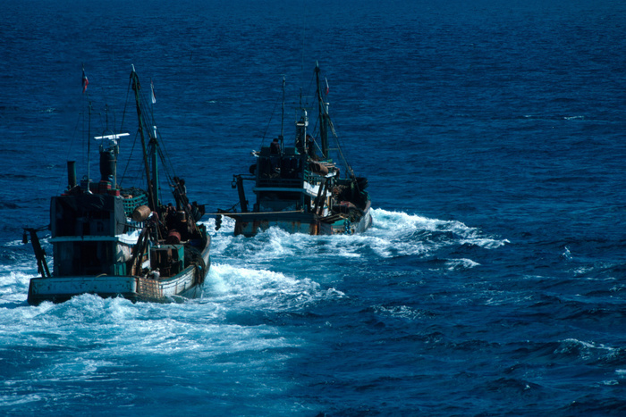СМИ узнали о возможных причинах крушения траулера в Охотском море