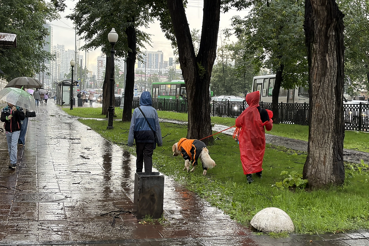 Похолодание и дожди идут в Свердловскую область