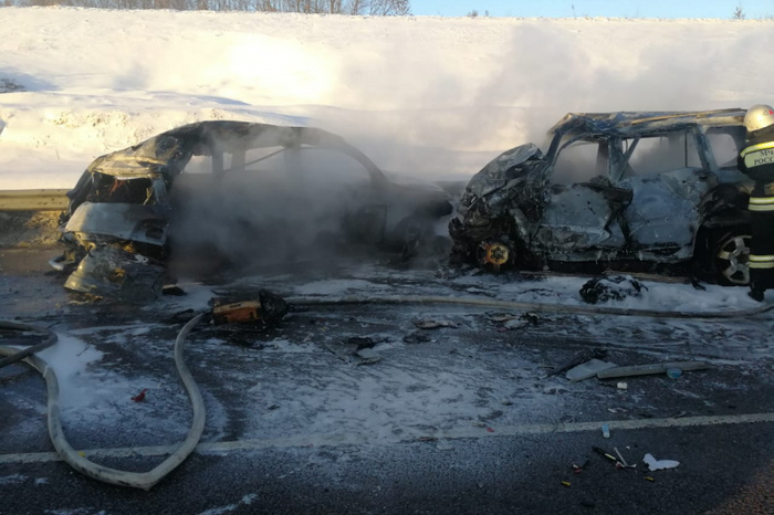 Восемь человек погибли в огне в результате дорожной аварии в Воронежской области