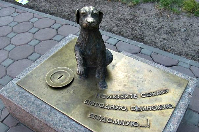 Памятник «Собака-копилка» в Тюмени за 10 лет собрал 2,5 млн руб. на помощь животным