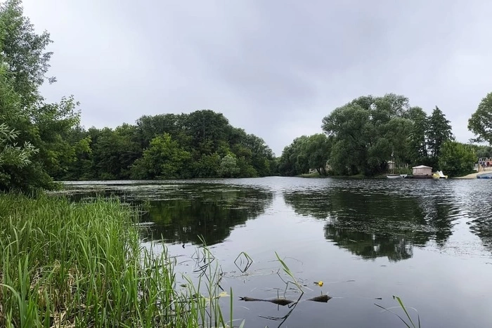 Два мигранта пытались утопить тюменского подростка из-за самоката