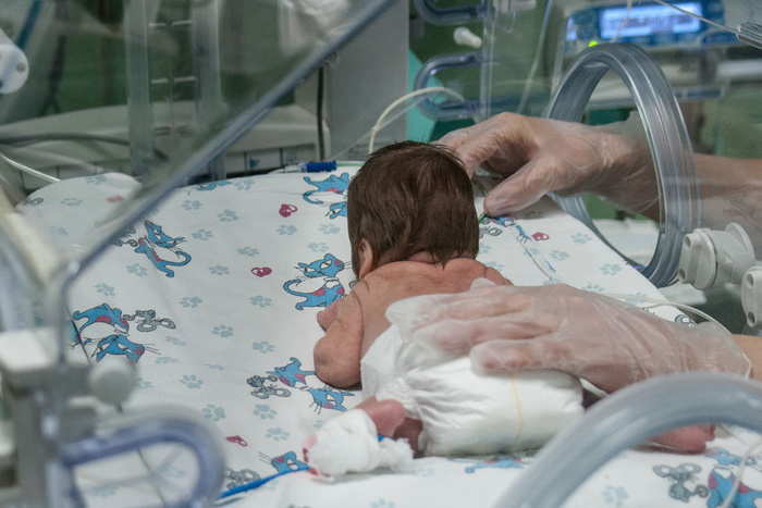 На рождение малышей «из пробирки» в 2018 году было направлено 8 млрд рублей