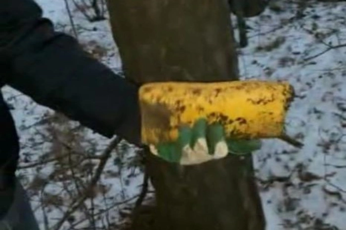 Свердловская полиция направила в суд дело наркодилеров, у которых изъяли 60 тысяч смертельных доз