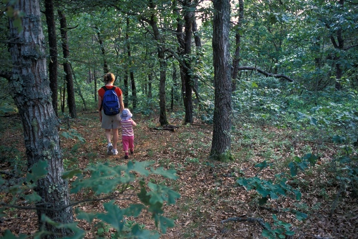 В ближайшее время в Екатеринбурге начнут обрабатывать парки от клещей