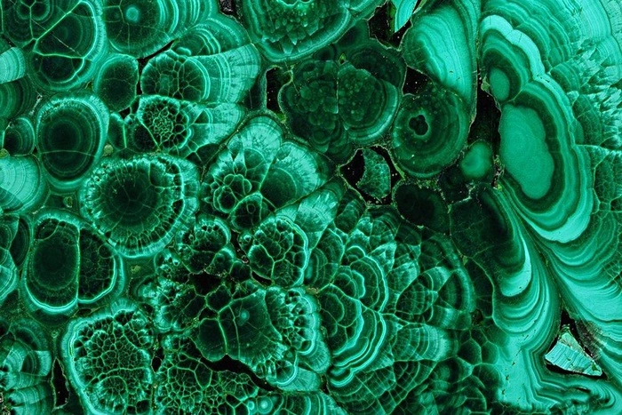 Серебряное копытце или малахит: для талисмана Универсиады в Екатеринбурге определили 12 персонажей