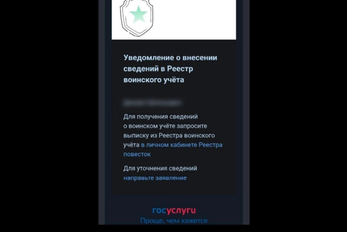 Что это? Екатеринбуржцам на «Госулуги» начали приходить уведомления об электронных повестках