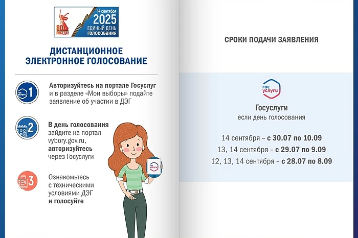 Менее 10% жителей Свердловской области будут голосовать на выборах губернатора по Интернету