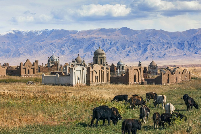 Роспотребнадзор предупредил туристов о сибирской язве в Киргизии