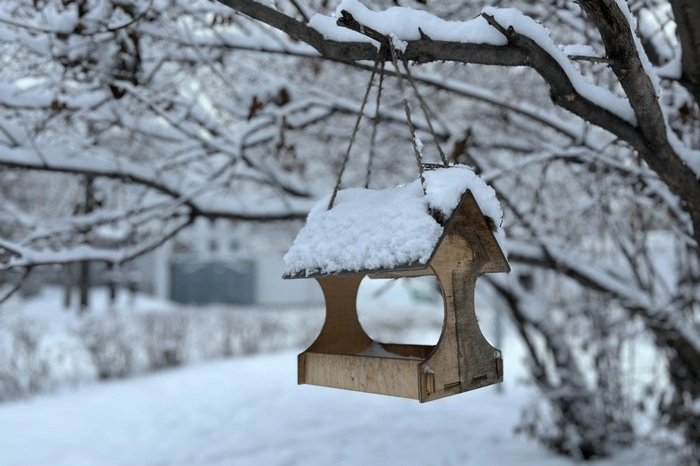 Стало известно, какая будет погода в феврале в Свердловской области