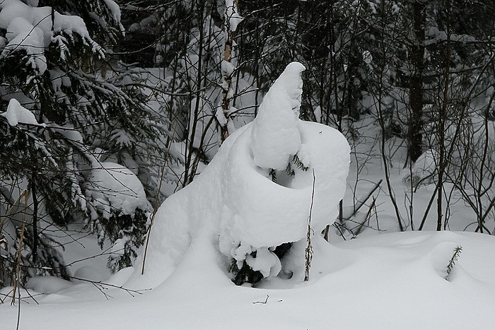 «Это аномалия». Свердловские синоптики сообщили, на сколько градусов темература в регионе ниже нормы