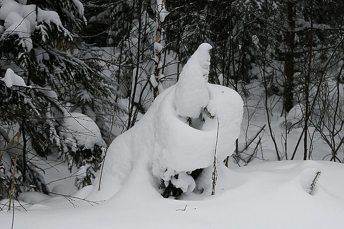 «Это аномалия». Свердловские синоптики сообщили, на сколько градусов темература в регионе ниже нормы