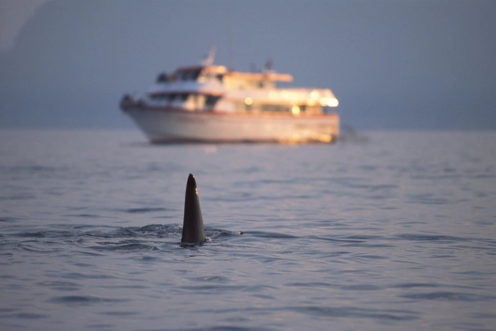 Задержанного на Чукотке американца отправили на реабилитацию