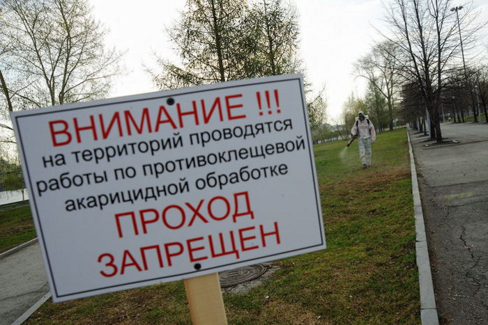 Парки Екатеринбурга начнут обрабатывать от клещей завтра
