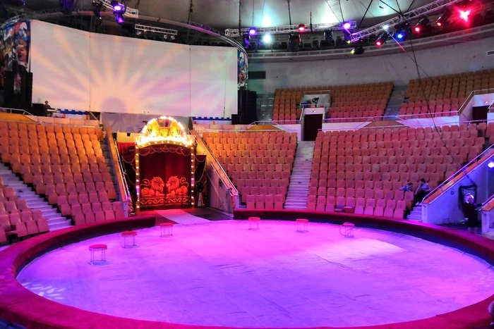 Цирк Екатеринбурга откроет новый сезон с благотворительного показа для детей