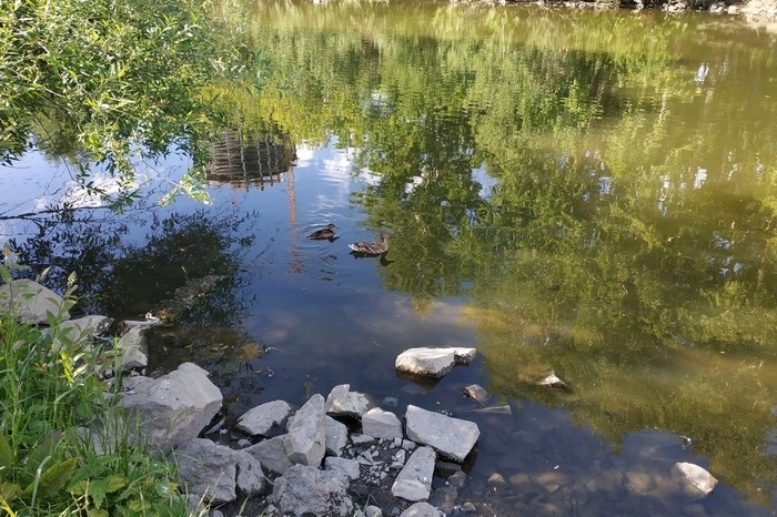 Екатеринбуржцам предлагают выбрать парк для благоустройства в 2022 году