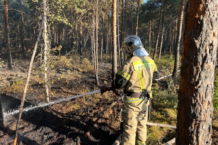 В свердловской полиции опровергли информацию о задержании поджигателей леса