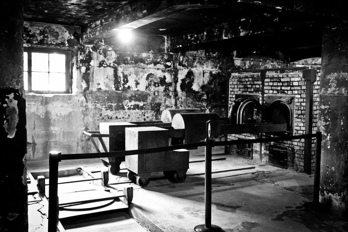 Екатеринбуржец едва не погиб, забравшись на печь для кремации животных