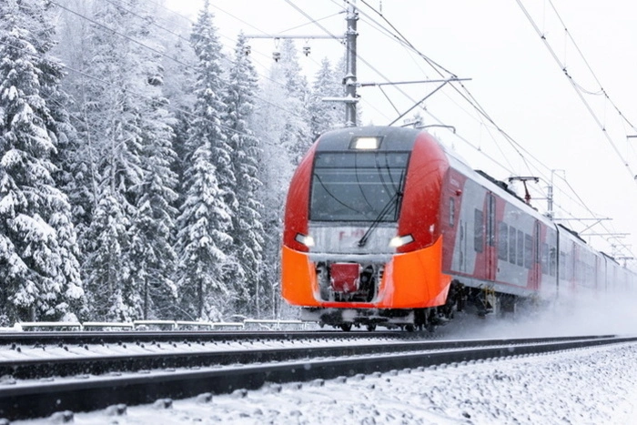 В Пермском крае проводница ошибочно высадила екатеринбурженку в глухом лесу