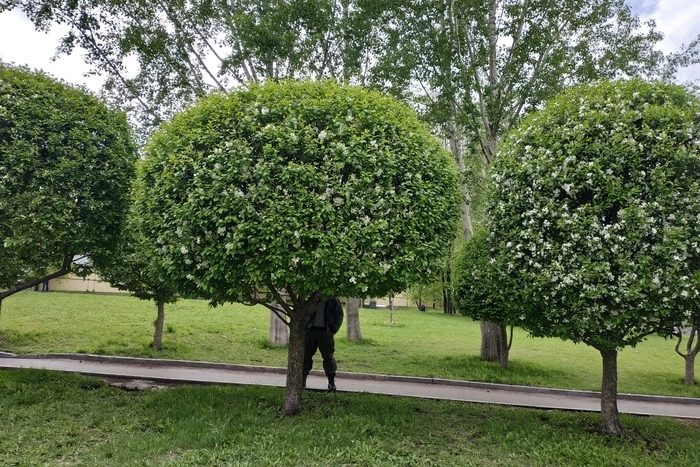 Супруга главы РМК прокомментировала ролик Алексея Навального