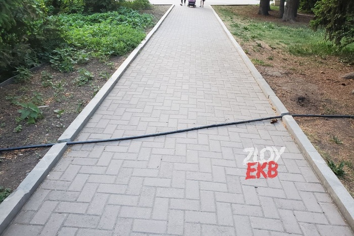 «Чудо инженерной мысли». Посетители дендрария Екатеринбурга — о перекинутом через тротуар шланге