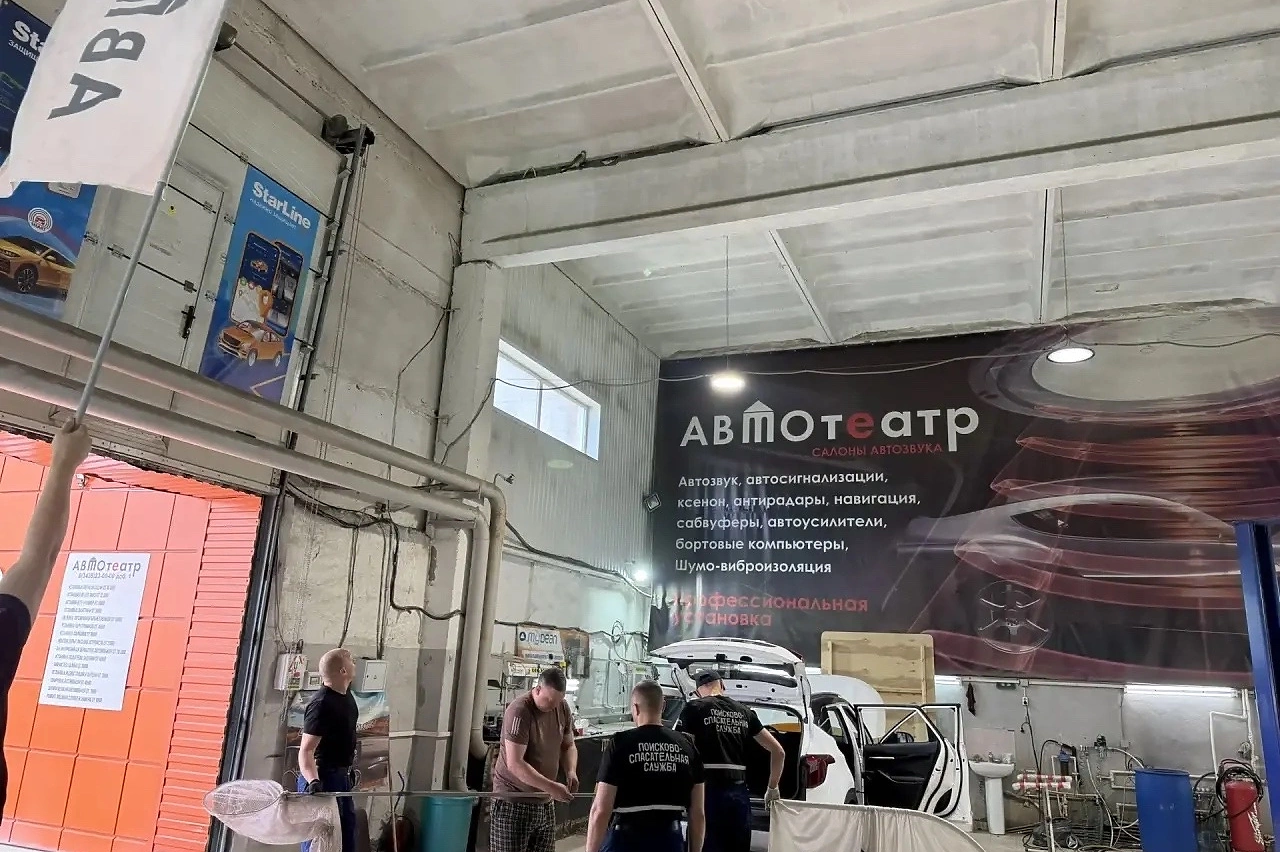 Спасатели вызволили сокола из заточения в тагильском автосервисе