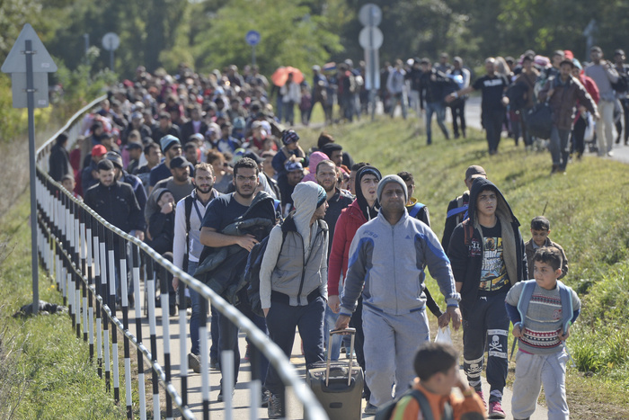 Число приплывших в Европу мигрантов достигло 500 тысяч