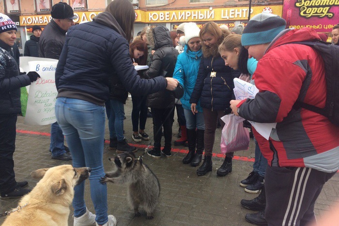5 ноября в центре Екатеринбурга состоится пикет зоозащитников