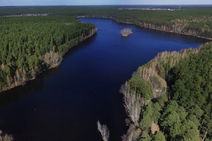 В пруду под Екатеринбургом парень прыгнул в воду и утонул