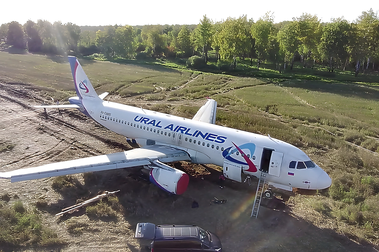 Пассажиры самолёта «Уральских авиалиний», севшего в пшеничном поле, обратились к президенту