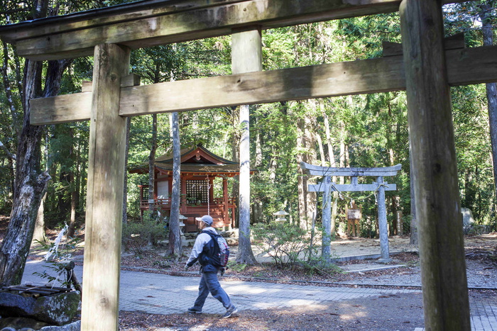 Оставленный родителями в лесу японский мальчик найден живым