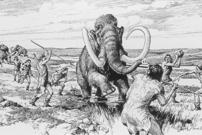 Останки мамонта обнаружили рядом со столицей Мексики