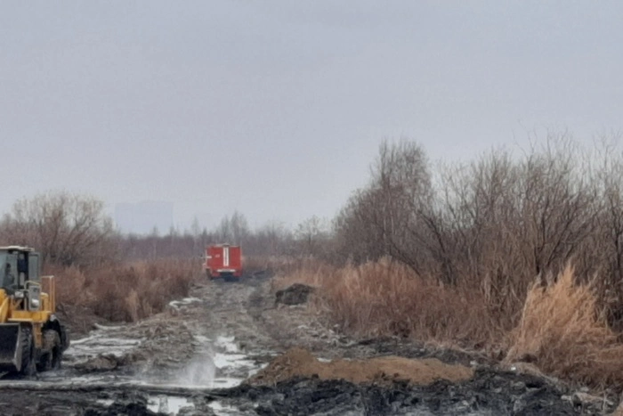 Greenpeace предложил помощь в тушении тлеющих под Екатеринбургом торфяников