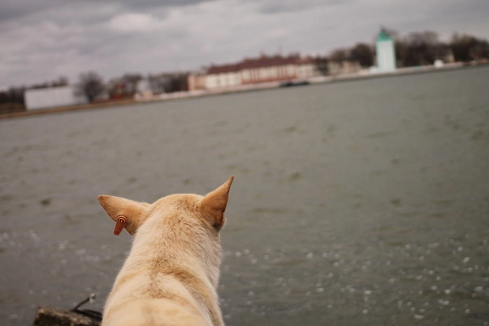 В Свердловской области похолодает до минусовых температур
