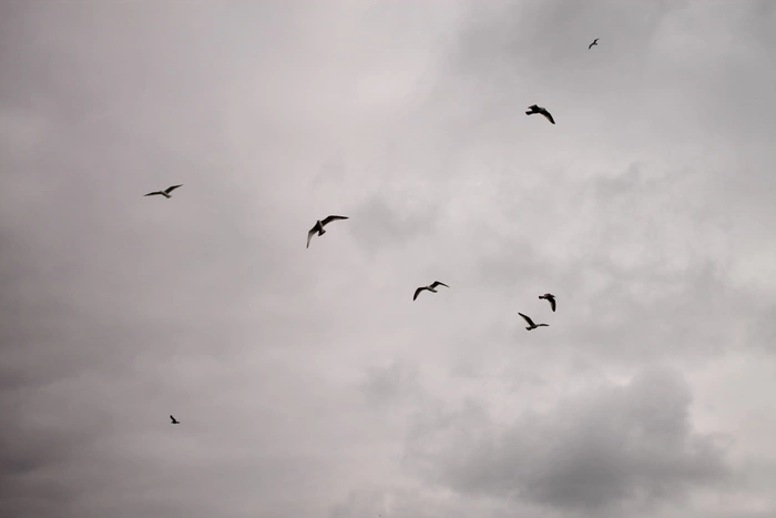 Майская погода: на Урал идёт холод