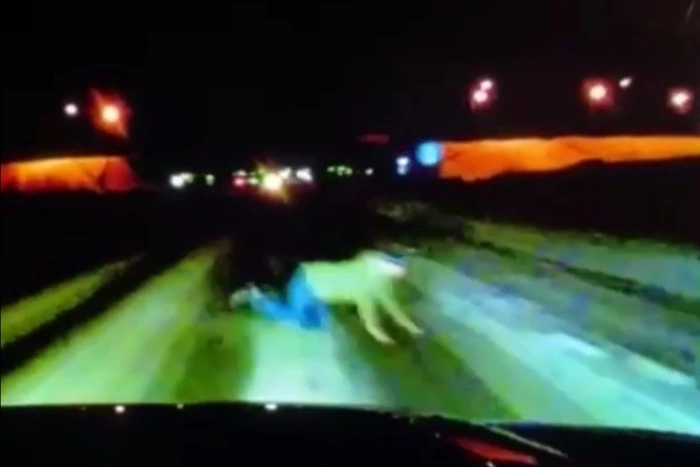 Погибший на трассе мужчина ползком возвращался домой из больницы с высокой температурой