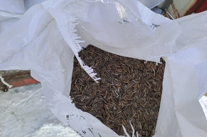 В Екатеринбург прибыл железнодорожный состав с китайскими семечками