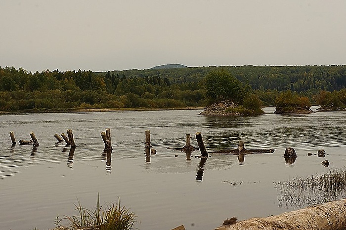 Под Екатеринбургом нашли крайне загрязнённую реку